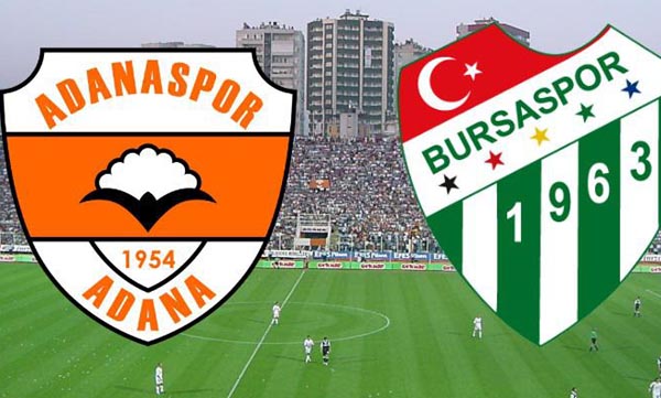 Kaplan, Timsah'a boyun eğdi