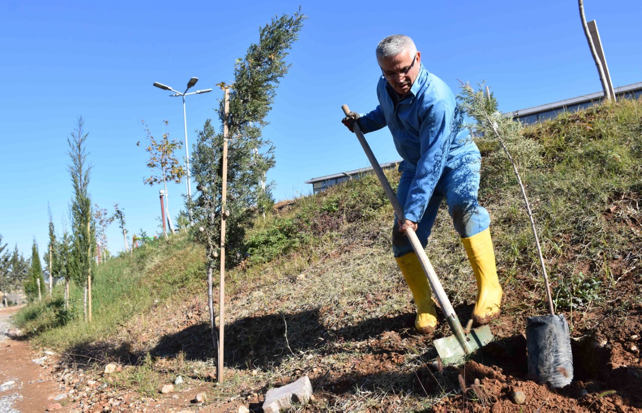 ‘Orman Dede’ 100 bin fidanı toprakla buluşturdu