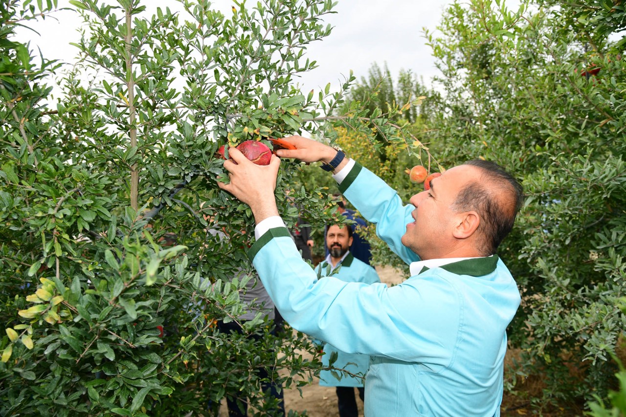 Büyükşehir Belediyesi’nden Adana tarımına bir hizmet daha