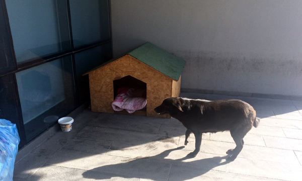 Kılıçdaroğlu’nun ŞERO’su varsa Soner Çetin’in de KARAKIZ’ı var