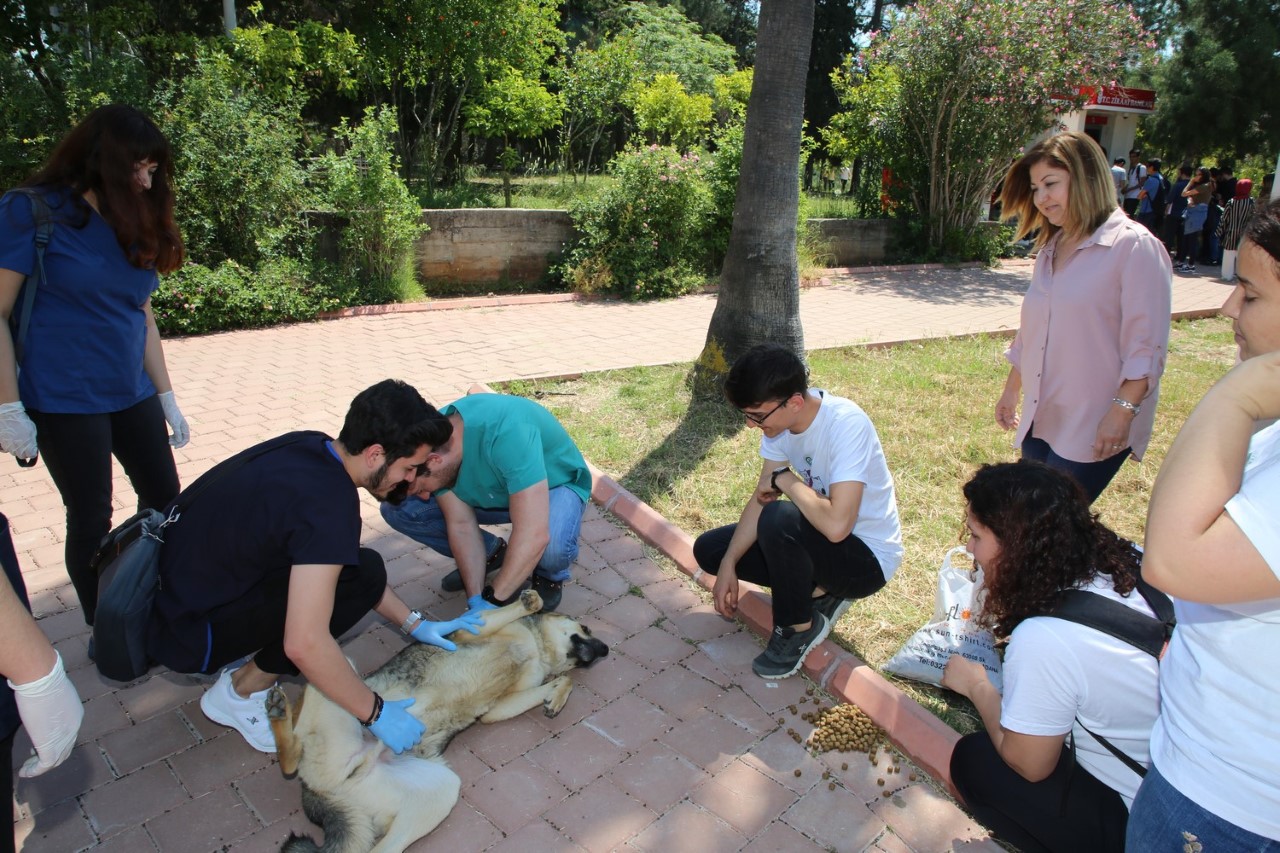 Kampüsteki Köpekler Genel Sağlık Kontrolünden Geçirildi