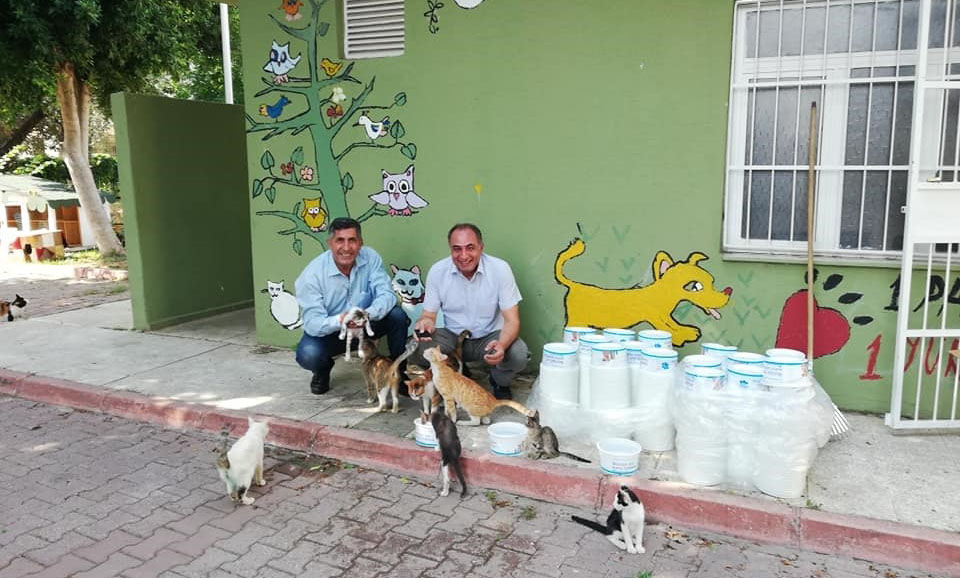 Sokak hayvanları susuz kalmasın?