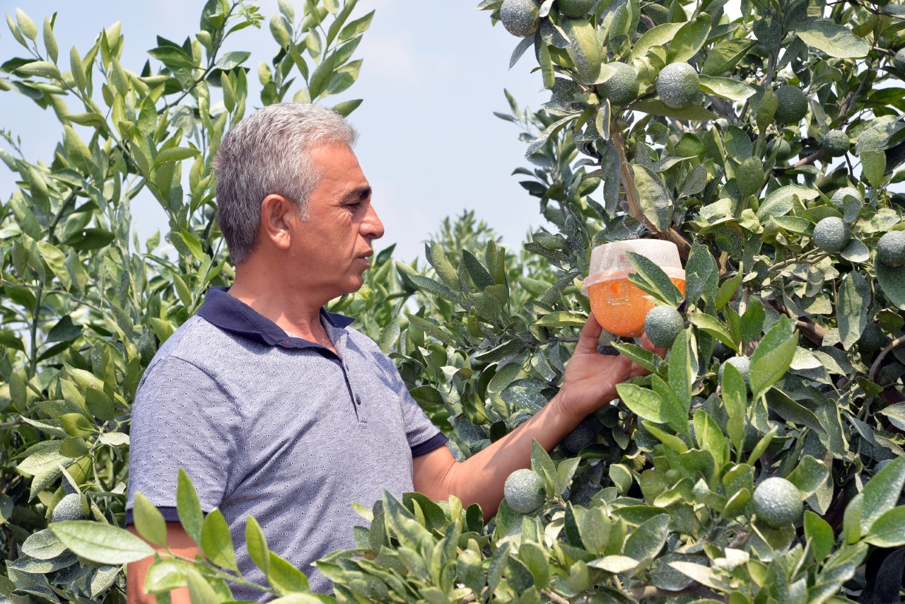 Doğan: ''Narenciye Enstitüsü Kurulmalı''