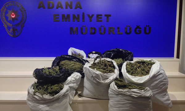 Adana'da uyuşturucu çetesi çökertildi, 12 kişi tutuklandı