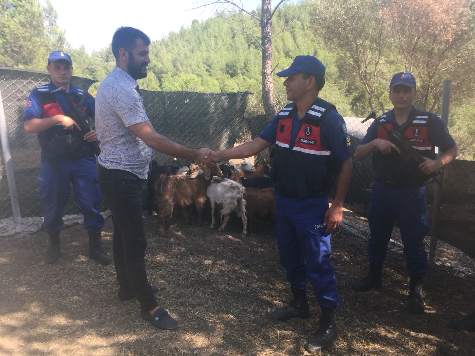 Hayvan Hırsızlarına Operasyon