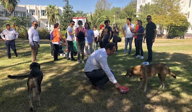 Sarıçam’da sokak hayvanlarına mama ve su