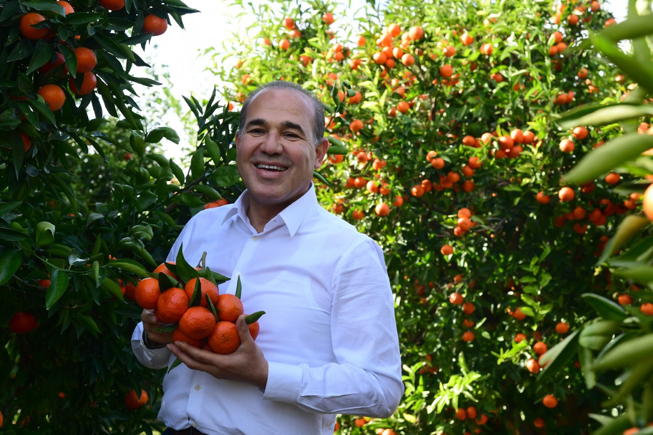 Zararlı sineğin beli kırıldı, çiftçinin yüzü güldü