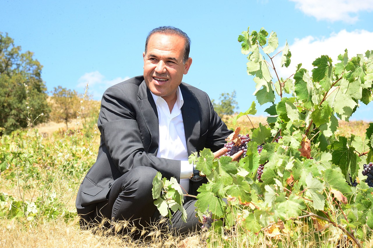 Kırsal kalkınmada Sözlü reformu