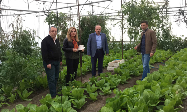 TZOB sahada çiftiyle buluşuyor