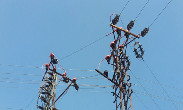 Yüksek gerilimden göçmen kuşlar zarar görmeyecek