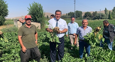 Çiftçi sayısı 700 bin azaldı 