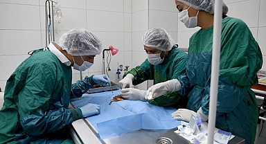 Kitap hayvanseverlerden kısırlaştırma Seyhan’dan