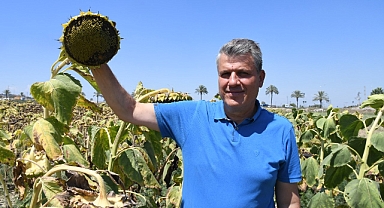 Barut'tan ayçiçeğinde ithalat tepkisi