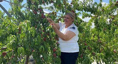 Erdem: “Tarım için Ceyhan’ı seçin”