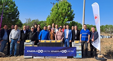 Arılarda Varroa zararlısı ile mücadele