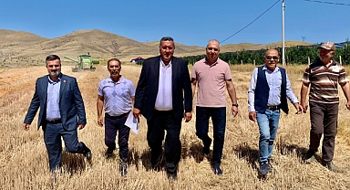 Yaban domuzu çiftçinin korkulu rüyası oldu 