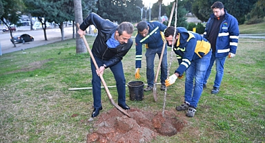 Çukurova’da turunç seferberliği