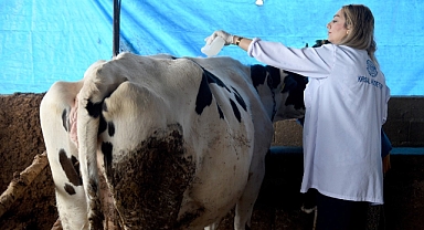 Seyhan’da hayvancılığa destek