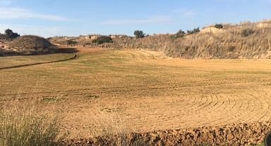 Üreticilerin belini büktüler