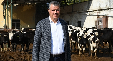 Kuru saman altın oldu