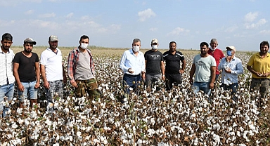 Mevsimlik işçi ücretleri yüzde 87 arttı