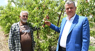 Dolu afeti çiftçiyi vurdu