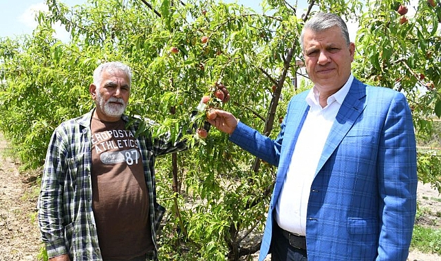 Dolu afeti çiftçiyi vurdu