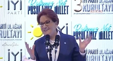 İYİ Parti'de Akşener yeniden genel başkan seçildi