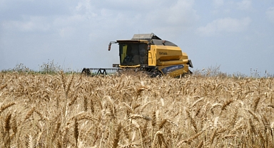 Buğdayda dışa bağımlılık son bulmalı