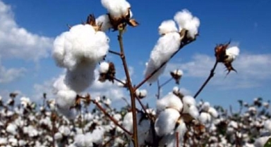 Depremzede üreticinin hasar tespitine ilişkin süre uzatıldı