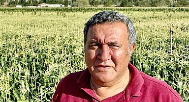 Gürer ”Yabancıların arazi edinimi sınırlanmalı”
