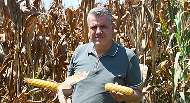 Mısır alım fiyatı en az 9 lira olmalı