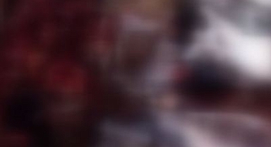 Adana'da at ve eşek kesimi yapanlara baskın
