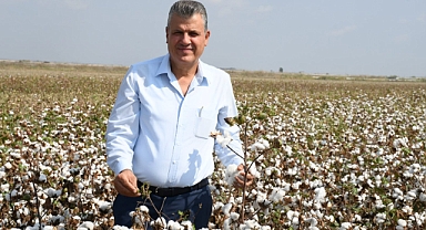 Beyaz altın pamuk üreticinin kara talihi olmasın