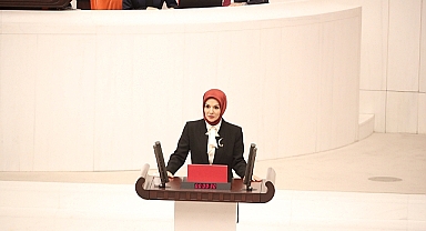 Bakanlıktan 'ücretsiz taşıma' açıklaması