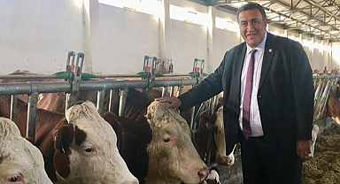 Gürer: “Et ve süt mamülleri ‘seyirlik’ olacak”