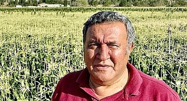 Gürer: