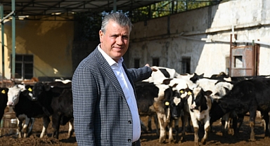 Süt krizi daha da derinleşiyor
