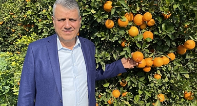 Narenciyede büyük tehlike kapıda