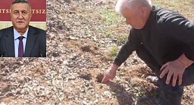 Tarımda bir de fare sorunu eksikti!