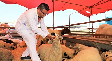 Yüreğir’de Kurban satış ve kesim yerleri belirlendi