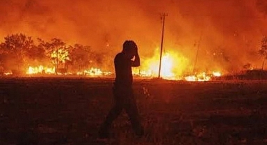 Anız yangını felaket getirdi: 5 ölü, 44 yaralı