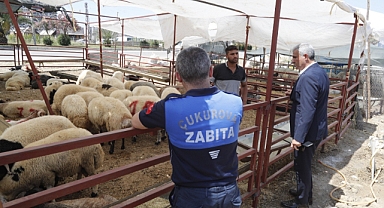 Çukurova'da kurban satış ve kesim yerleri denetlendi