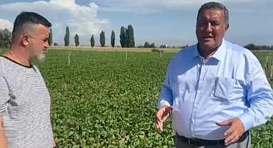Gürer: “Üretemeyince ithalata sarıldık”