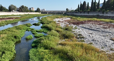 DSİ'den Seyhan Nehri açıklaması