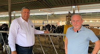 Gürer: Çiğ Sütte fiyat dengesizliği artıyor