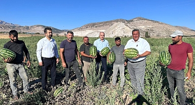 Gürer: “Karpuz tarlada kaldı”