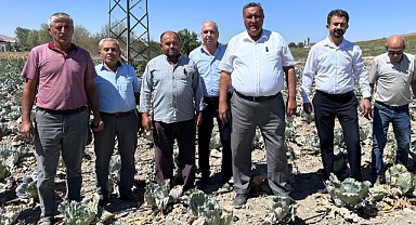 “Kuraklık ve sulama sorunları da üreticiyi vurdu”