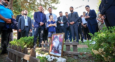 CHP’nin kedisi Şero öldü