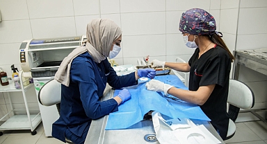 Seyhan'da sokak hayvanları kısırlaştırılacak